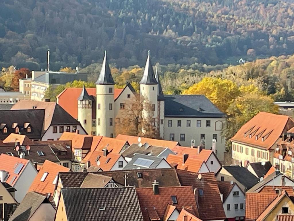 Апартаменти Wohnen Im Springerhof Lohr am Main Екстер'єр фото